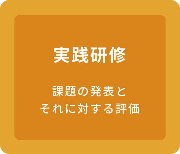 実践研修　課題の発表とそれに対する評価